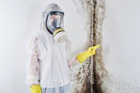 Best Mold Prevention Services  in Lincoln, AR